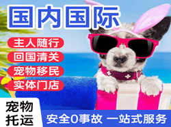 西昌空运代理国际宠物托运 【国